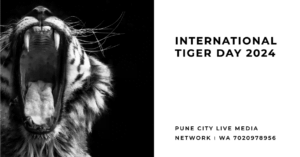 International tiger day 2024
