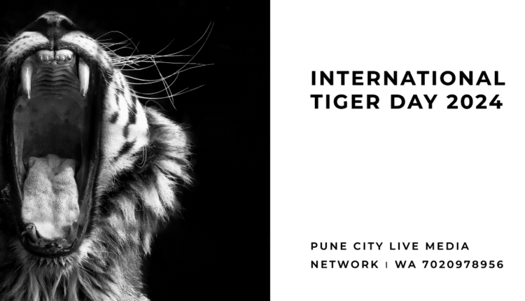 International tiger day 2024