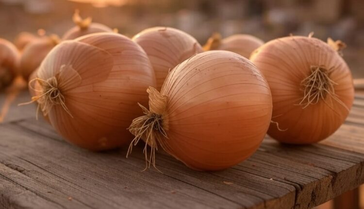 कांदा निर्यात शुल्क रद्द